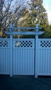 Fence_Trellis1
