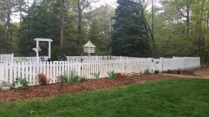 Garden Fence1