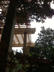Deck_Trellis3