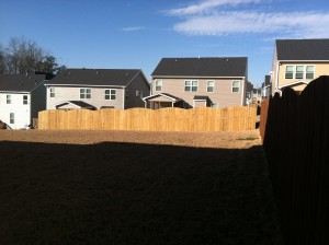 Fence1