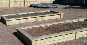 Garden Boxes2