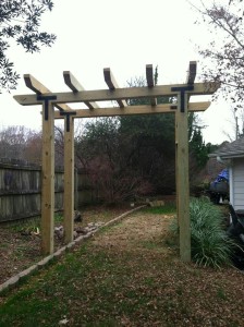 Garden Trellis1