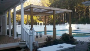 Pool Trellis1