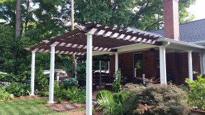 Trellis109_2
